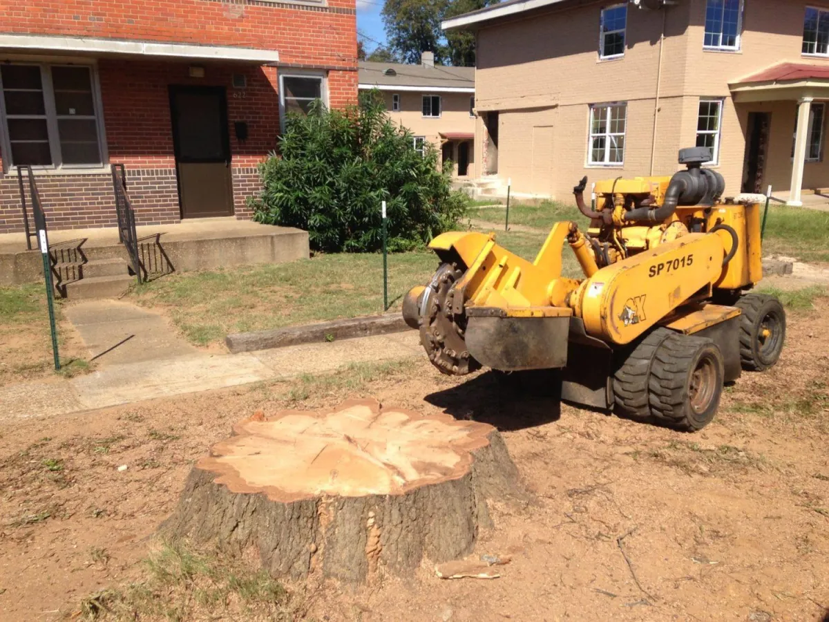 Stump grinding service in Battle Creek MI