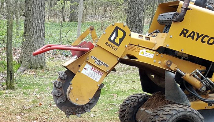 Stump Grinding In Battle Creek