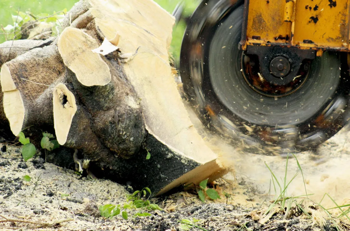 Stump Grinding In battle creek