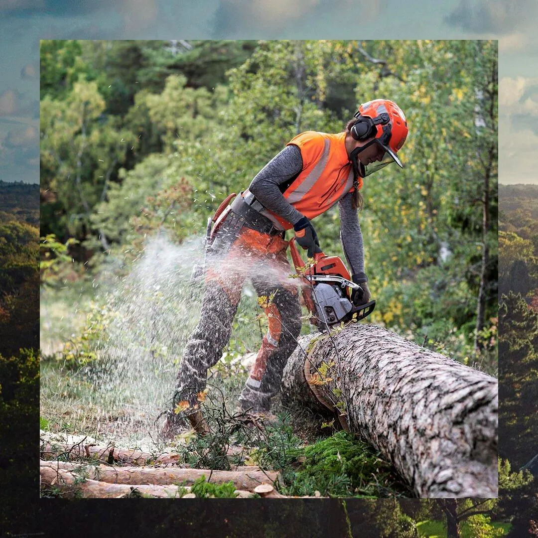 An arborist examining a tree in a residential area