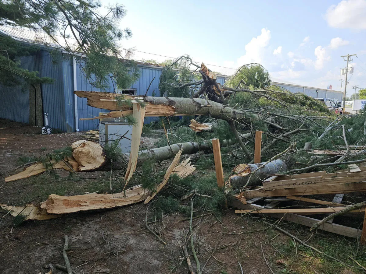 Emergency Tree Service Battle creek