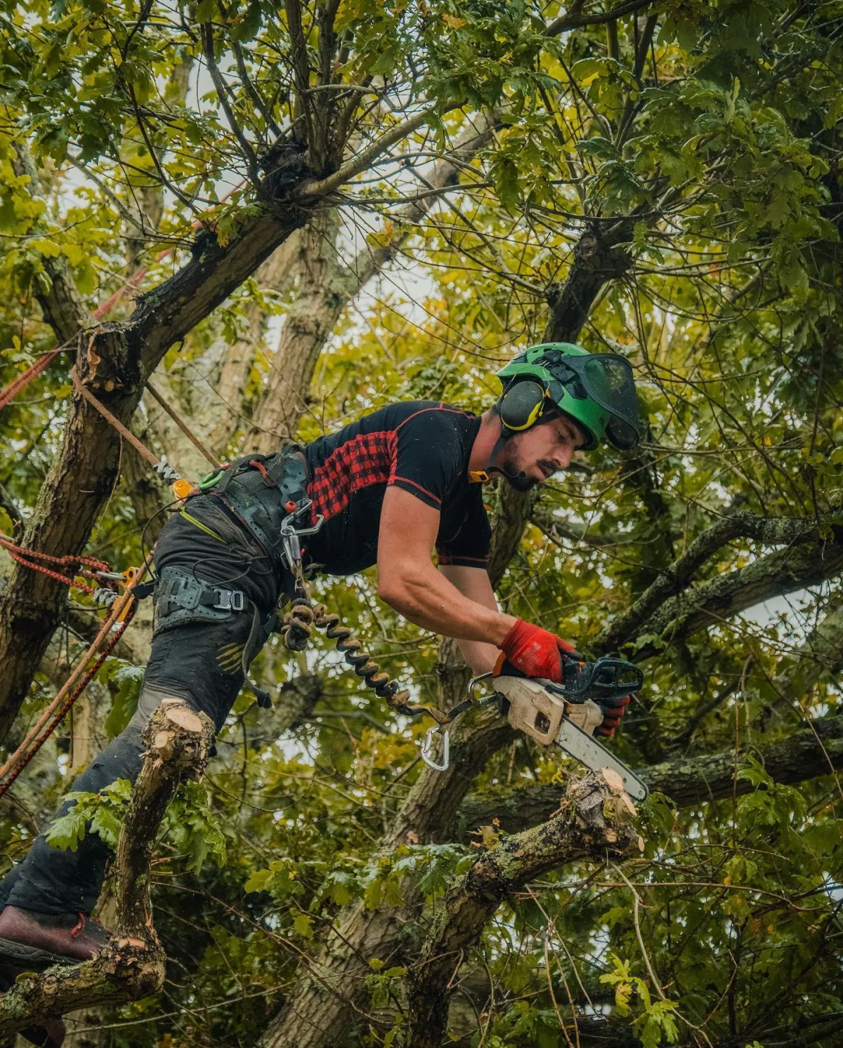 residential tree trimming battle creek