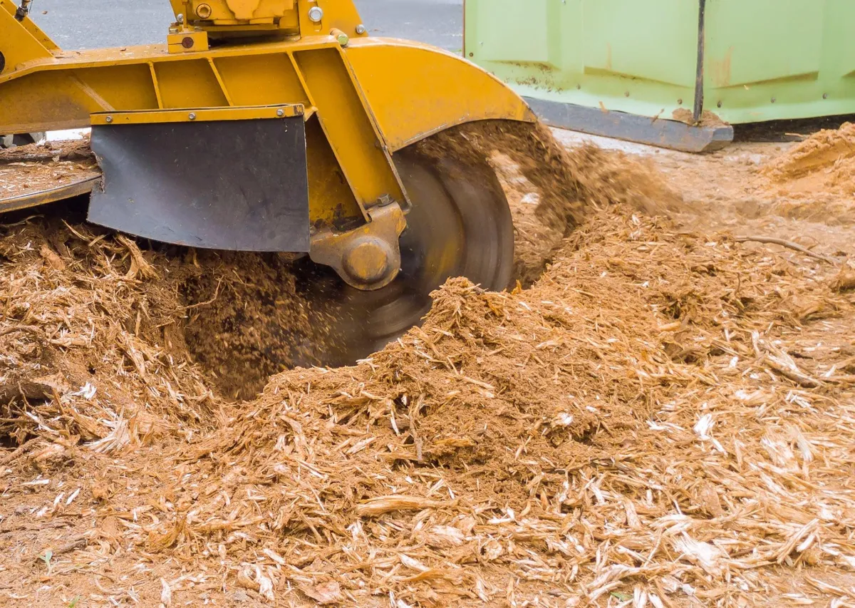 professional stump grinding service Battle Creek MI