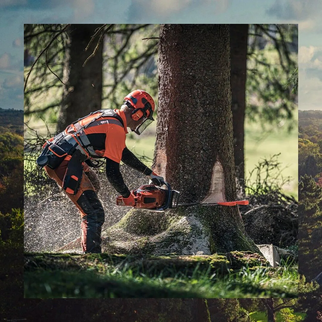 highly skill arborist in battle creek