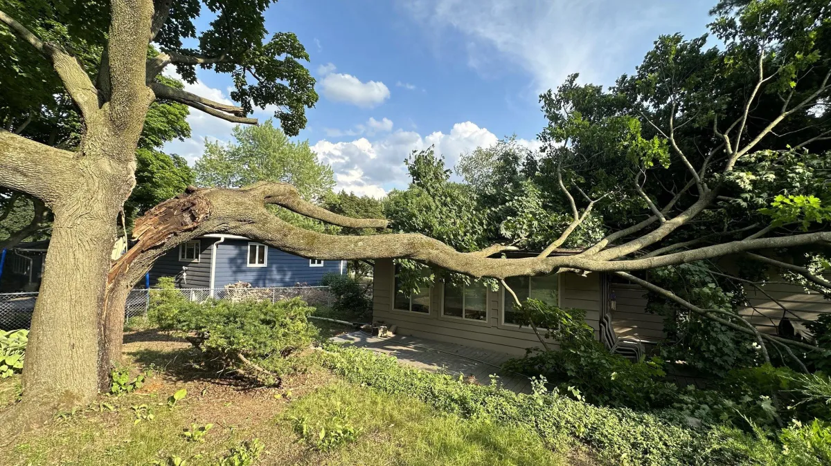 Emergency tree service Battle Creek MI