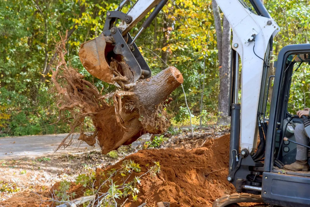 Commercial lot clearing services in Battle Creek MI