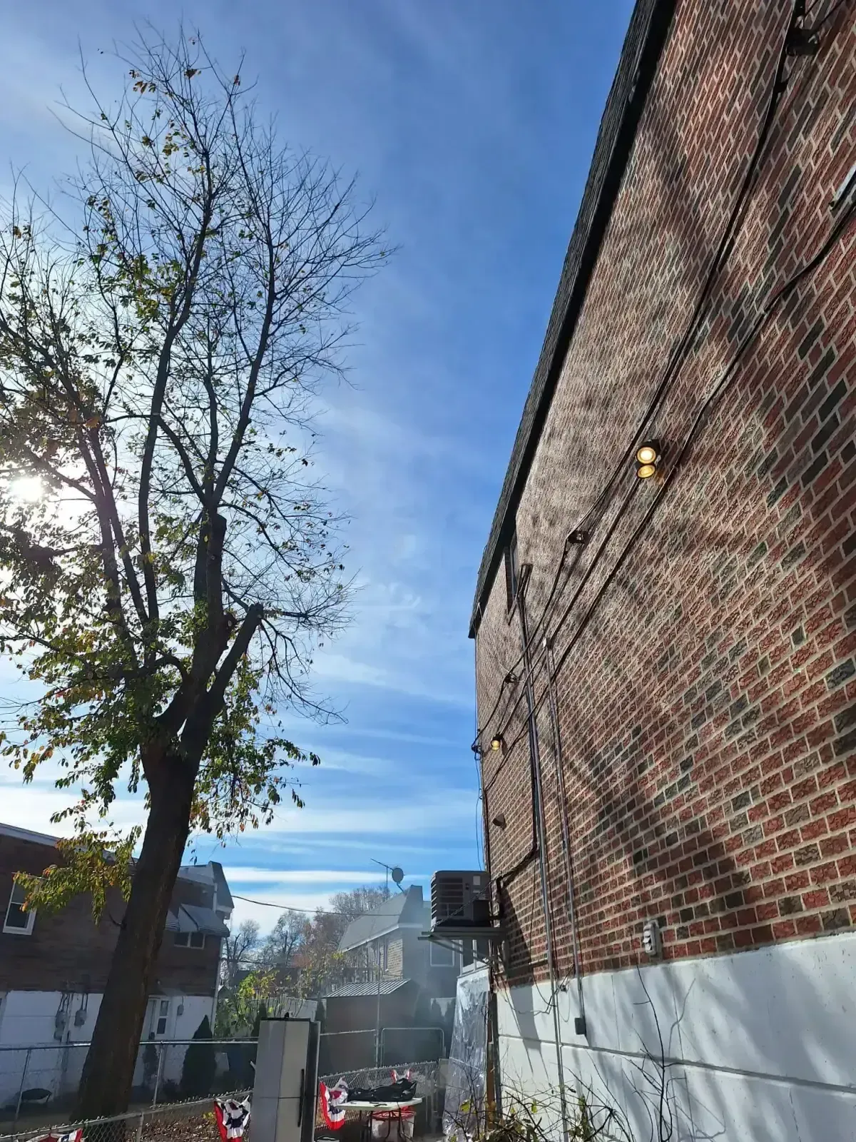 Trimmed tree near building after professional tree trimming service from Top 1 Tree Service in Bucks County, PA
