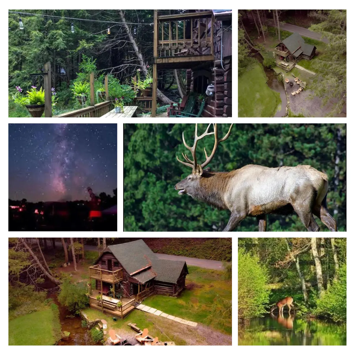 Explore spaces at A Cabin By The Stream