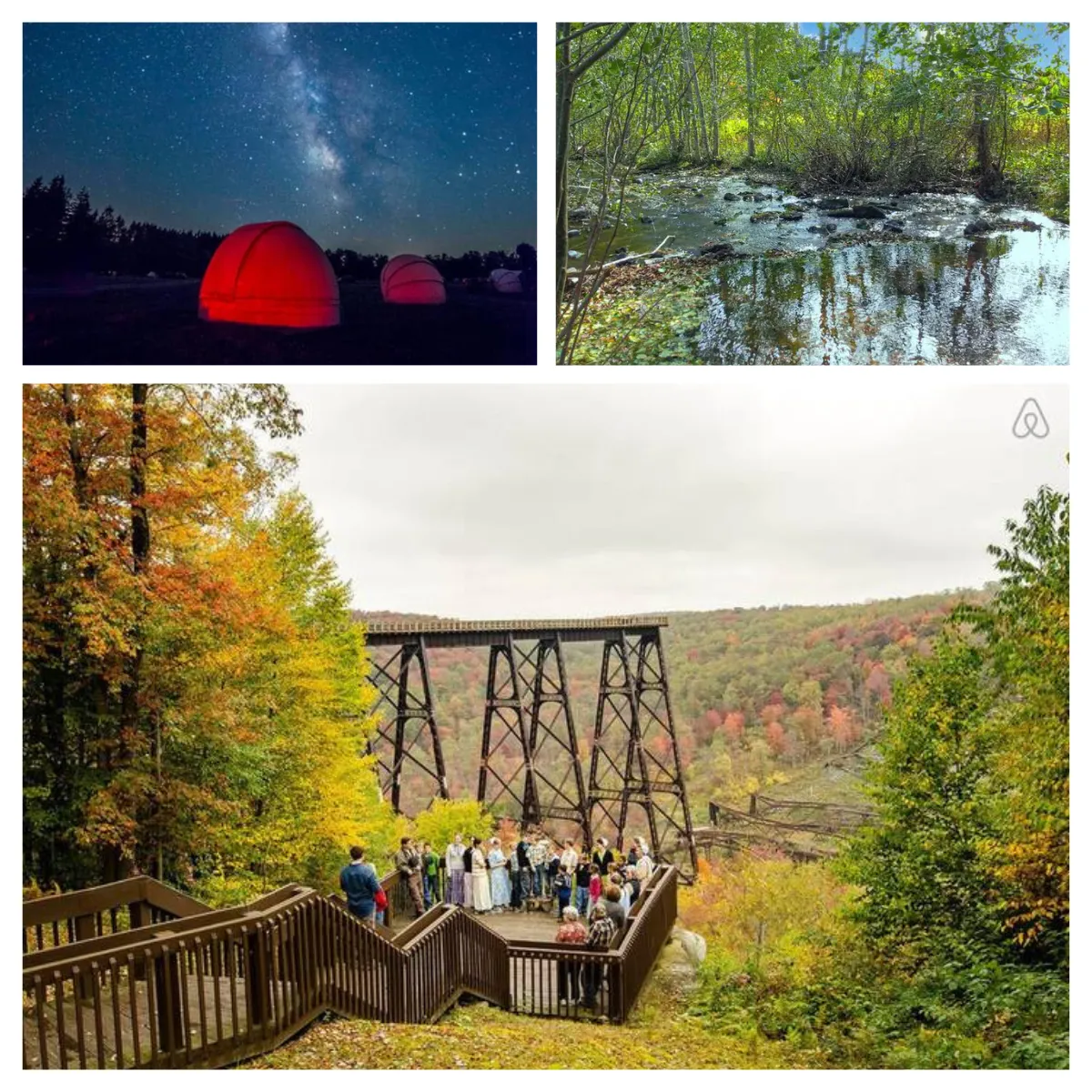 Step out and enjoy nature at Cherry Springs Cabin. Relax on the porch, stargaze, roast marshmallows by the firepit, and explore the wilderness for a memorable experience.