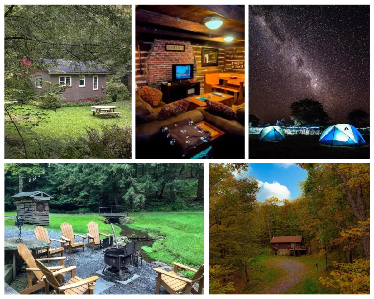 Visit Cherry Springs Dwell for unique vacations in Coudersport, PA, offering eight distinct listings for relaxation and adventure in secluded cabins or cozy cottages by the stream.
