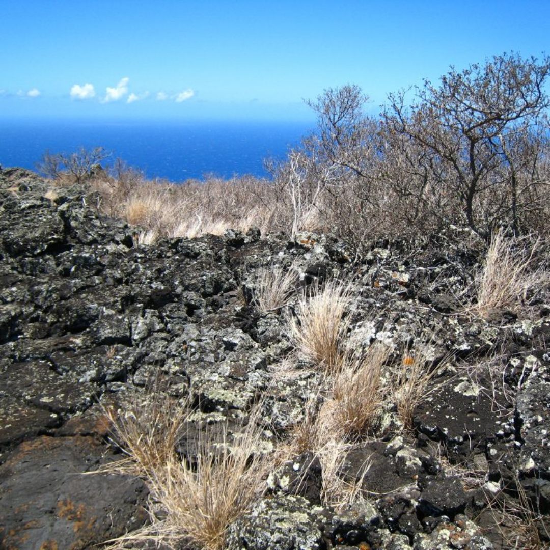 Featured Image - Kanaio, HI