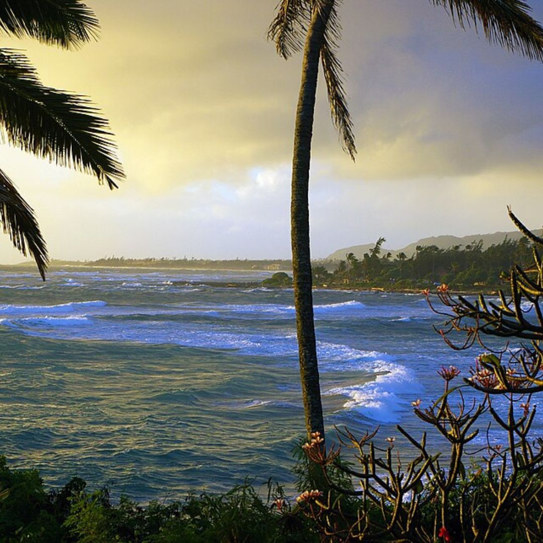 Featured Image - Wailua, HI