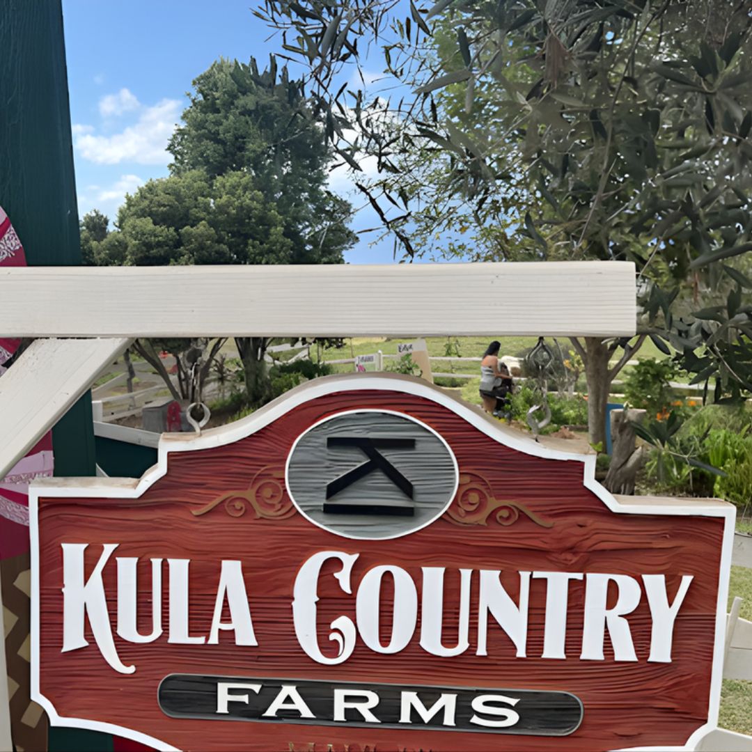 Featured Image - Kula, HI