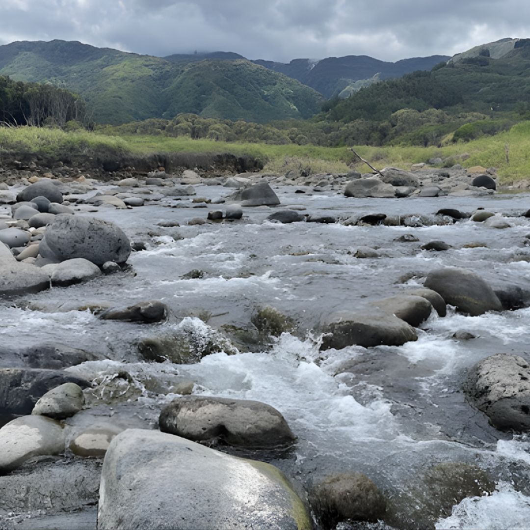 Featured Image - Waiehu, HI