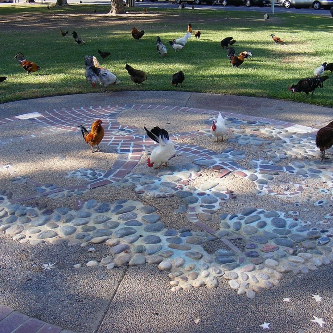 Featured Image - Fair Oaks, CA