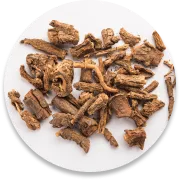 Sarsaparilla root