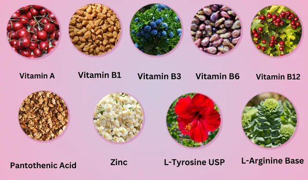 Lepticell-ingredients