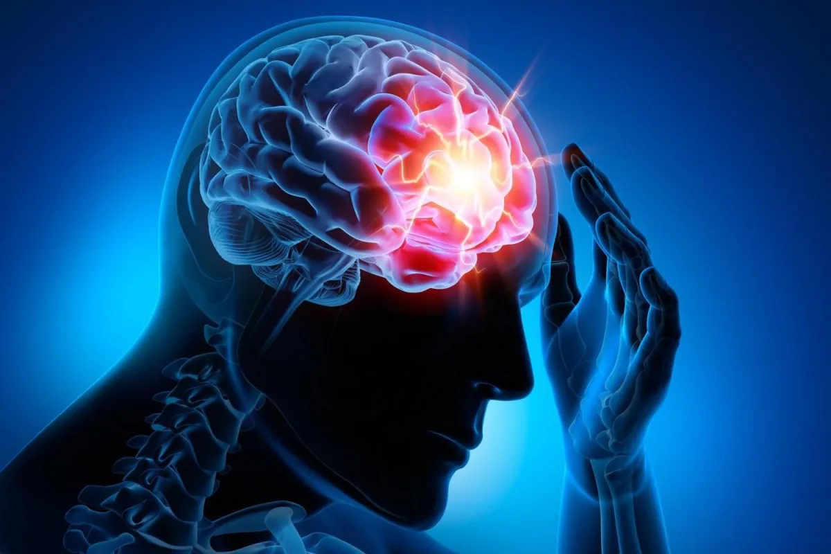 Neurocept Brain support