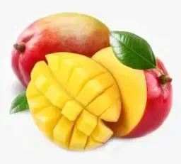 MounjaBoost African Mango Seed Extract
