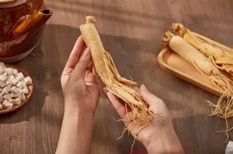 MounjaBoost Korean Turmeric Extract