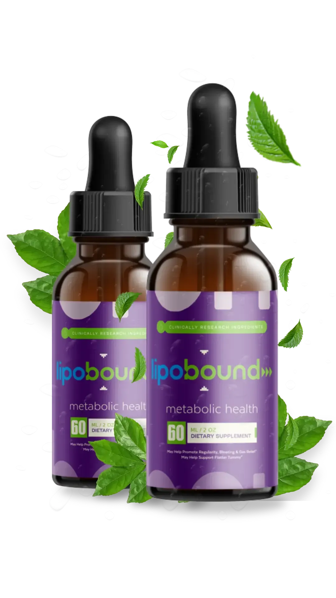 LipoBound