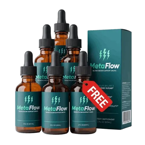 MetaFlow-official-website