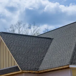 Shingle Roof