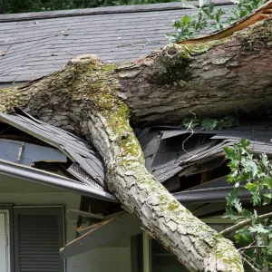 Roof Storm Damage