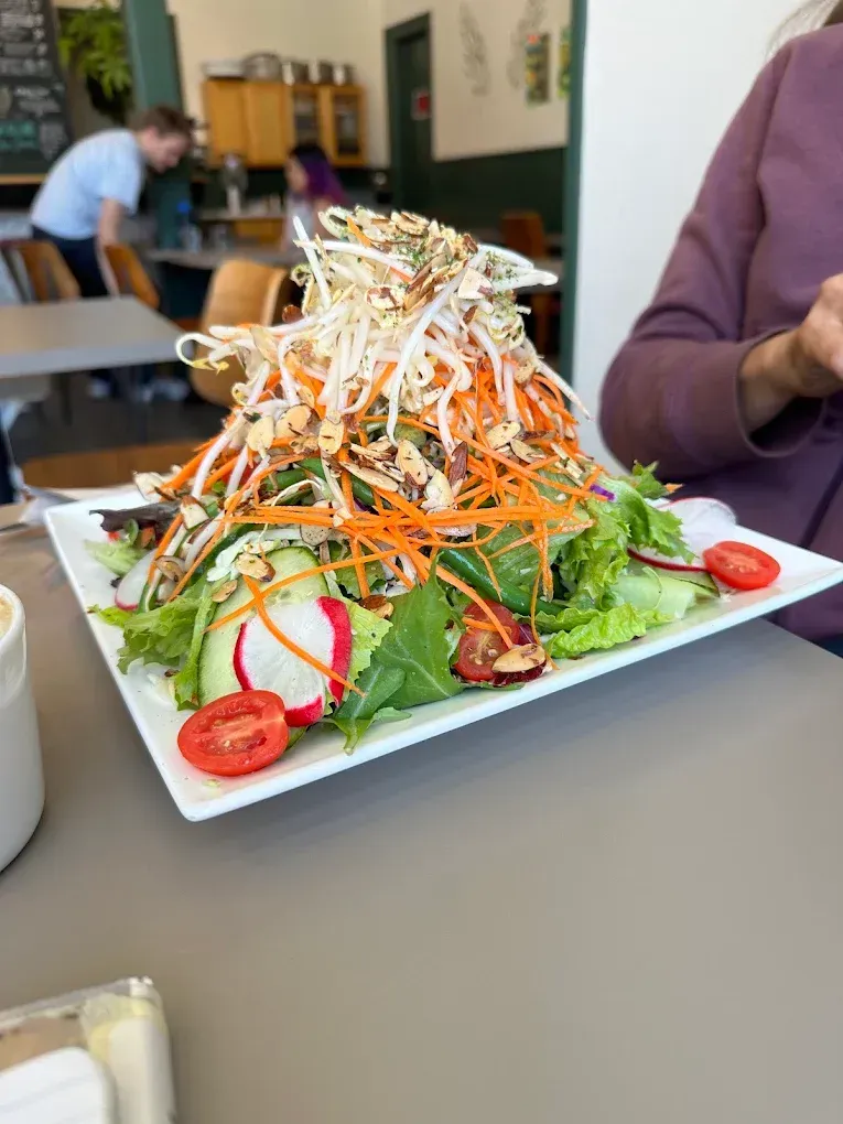 lowerhaight-tarragon-salad