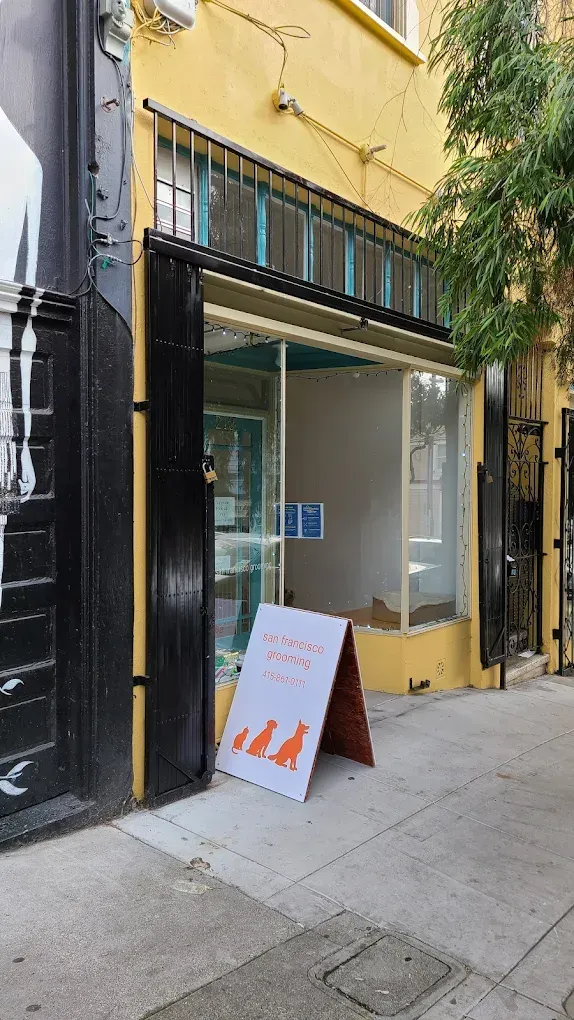 doggroomer-lowerhaight