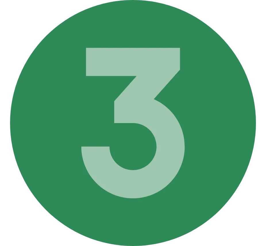 Number 3 Icon