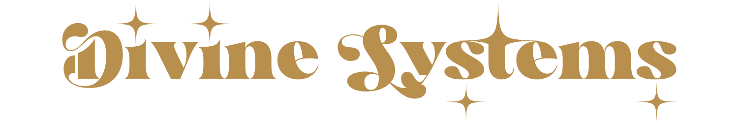 Divine Systems logo with decorative sparkles