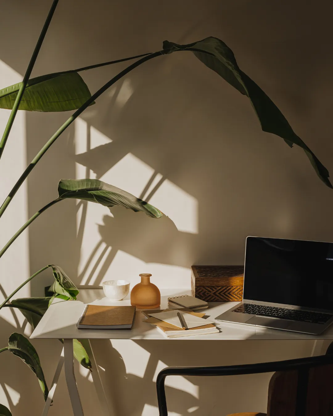 cozy calm office space