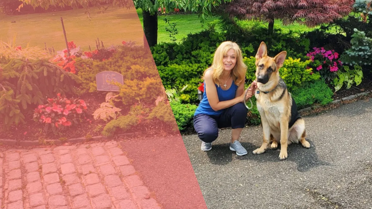 Dog trainer in Franklin Square, New York