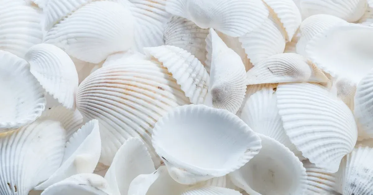 natural source glucosamine