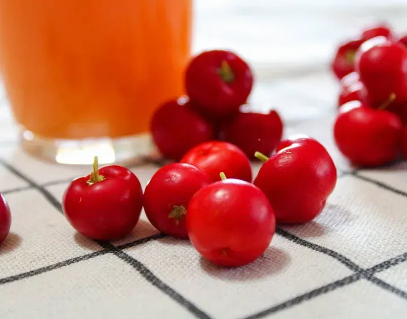 acerola cherry