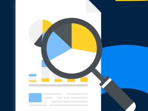 Saginaw Merchant Fee Analysis