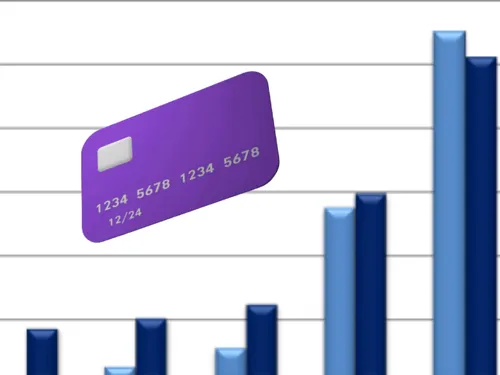 Merchant Fee Analysis in Flint