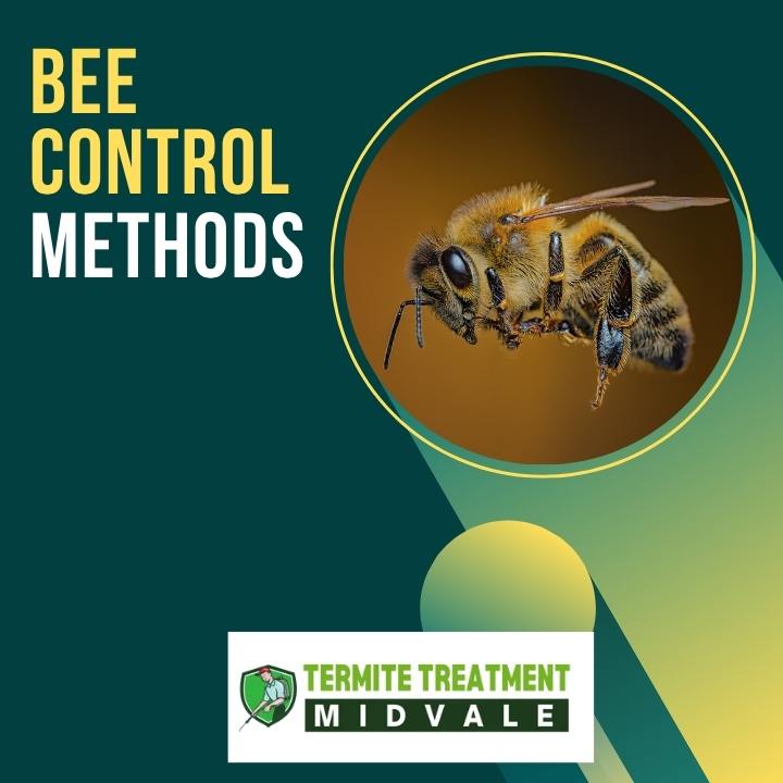 Bee control treatment
