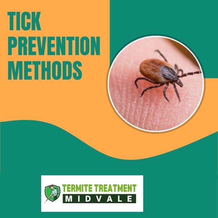 Home tick control
