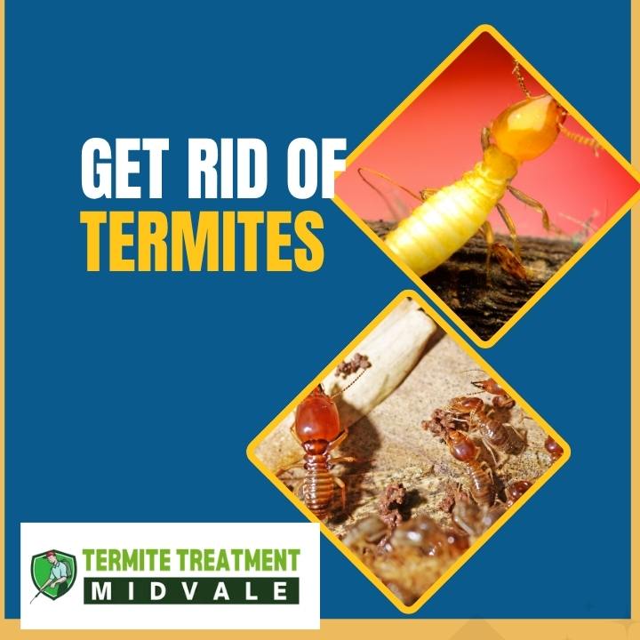 Termite Removal Tips