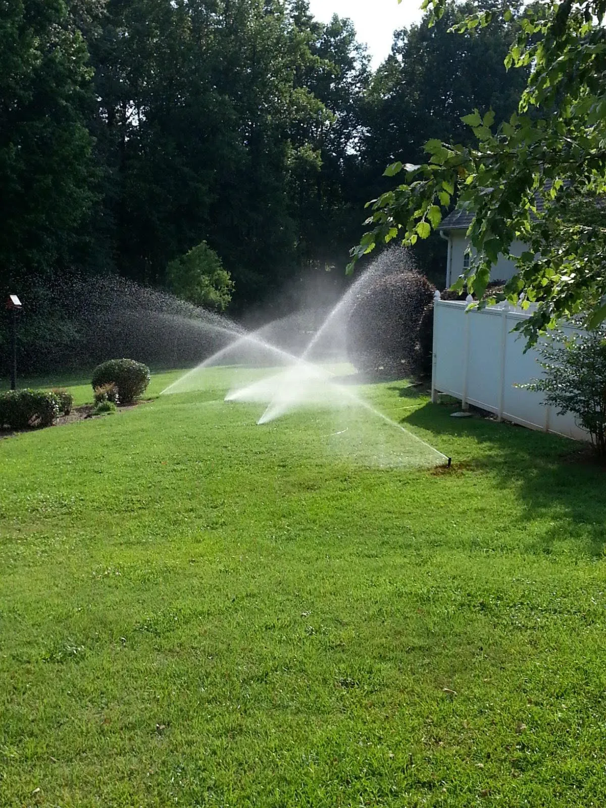 outdoor pool landscaping