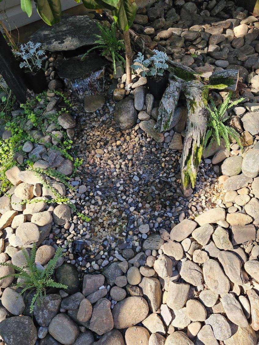 outdoor pool landscaping