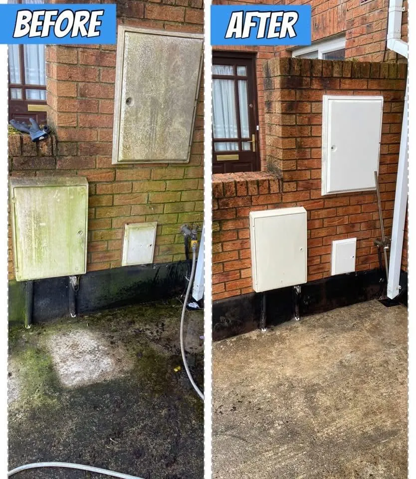 Exterior wall cleaning to remove mold and weather stains