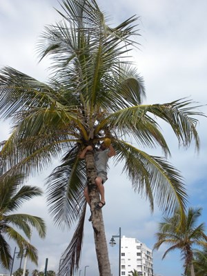 Active Rest – Puerto Rico