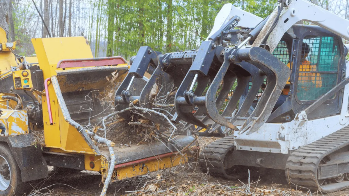 Brush & Debris Removal