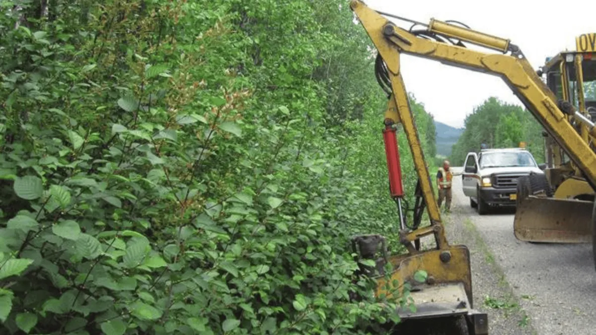 Driveway & Road Clearing