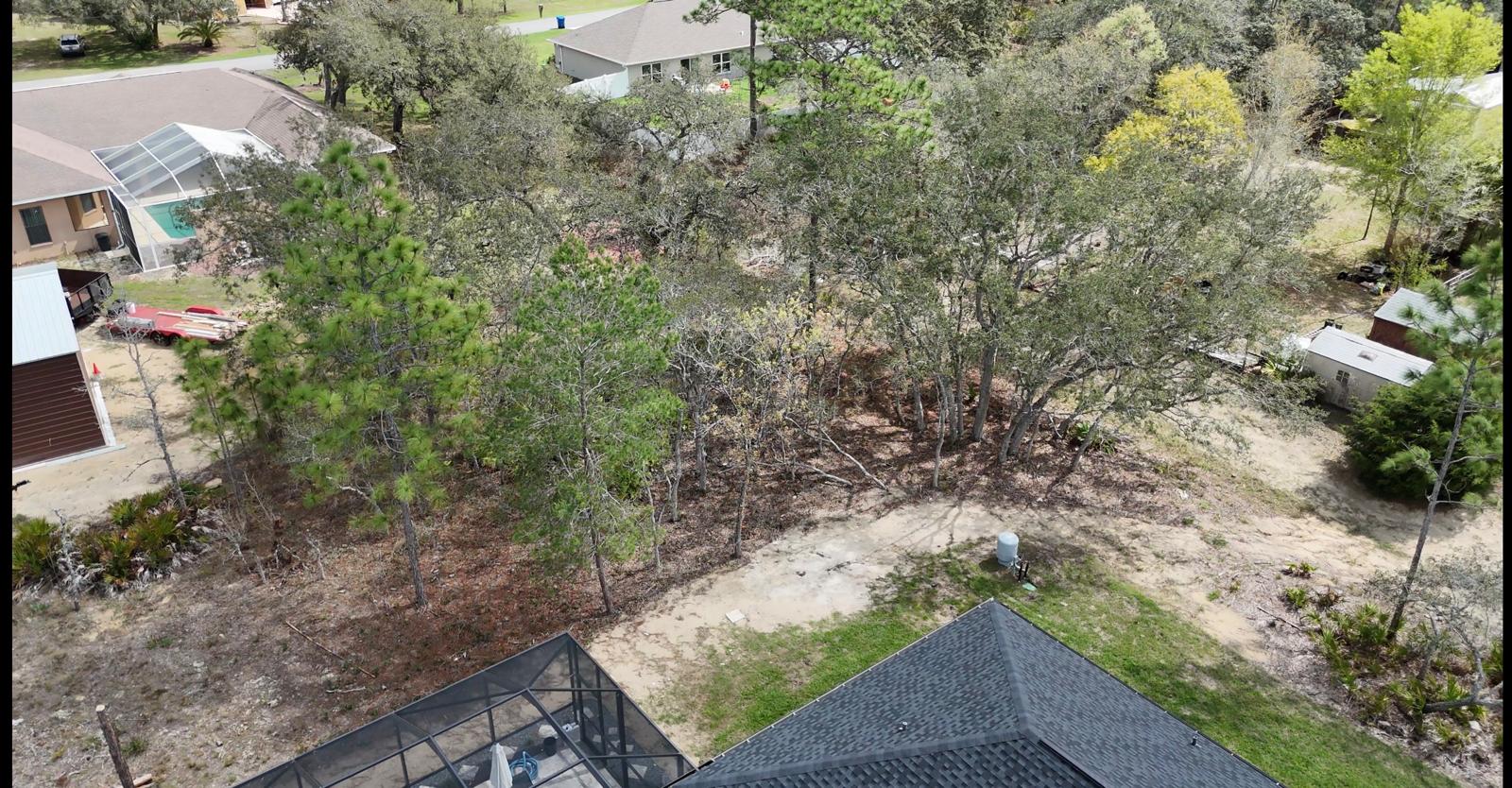 Brush & Debris Removal