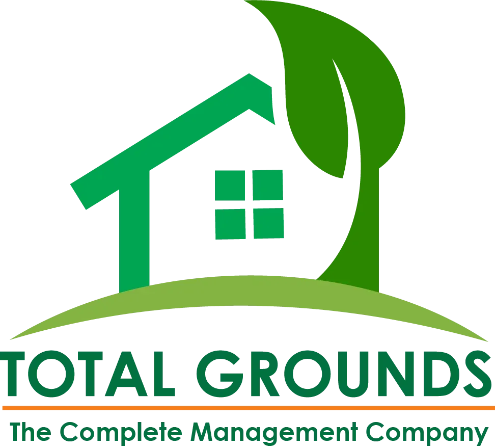 our company Logo