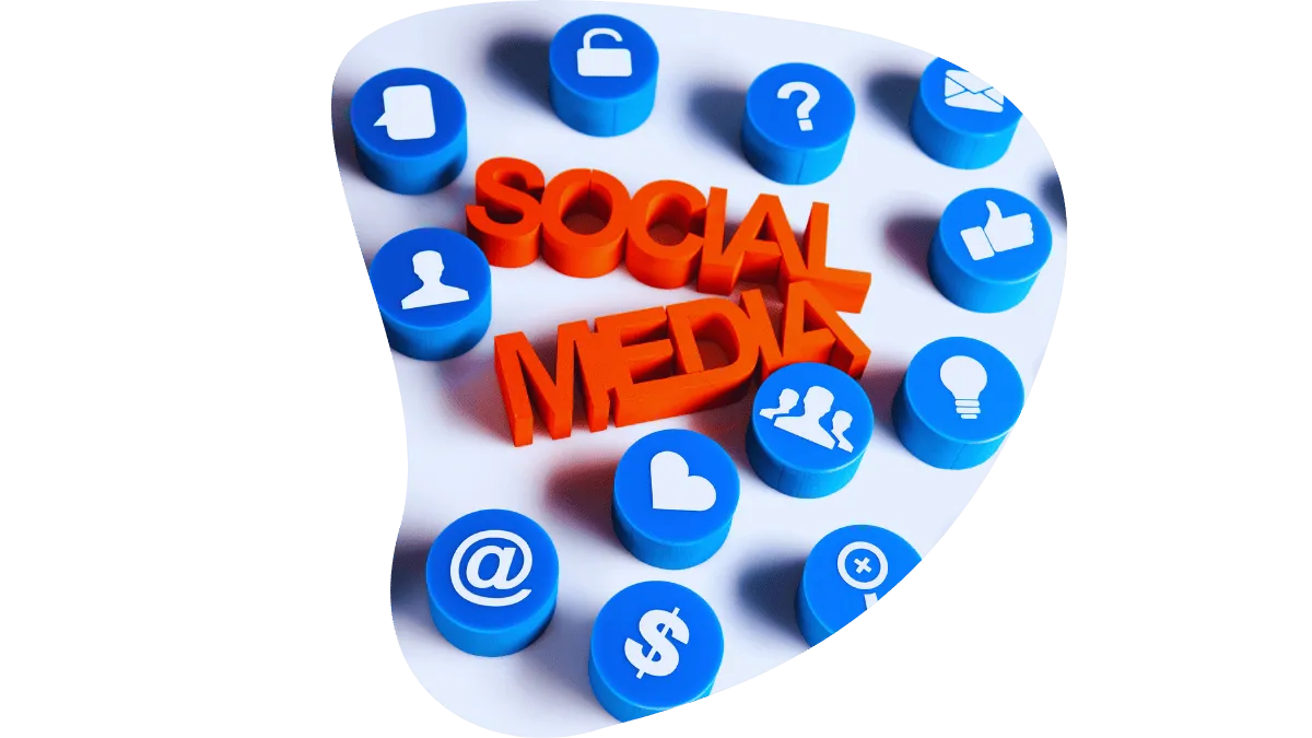 social media management palm coast fl